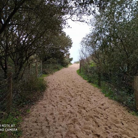 Logement 88 2-4 Personnes 500 M Plage Classe 2 Etoiles Dolus-d'Oleron Luaran gambar